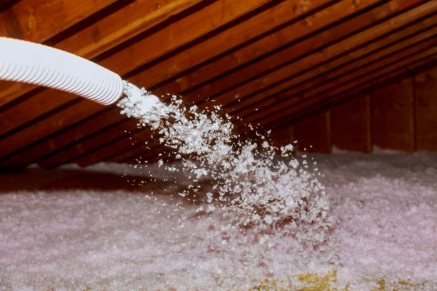 Best Energy Efficiency Insulation in Port Edwards, WI