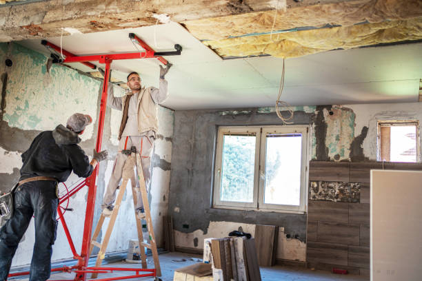 Best Cellulose Insulation in Port Edwards, WI